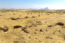 Phát hiện hàng nghìn ngôi mộ Hồi giáo cổ đại sắp xếp một cách bí ẩn