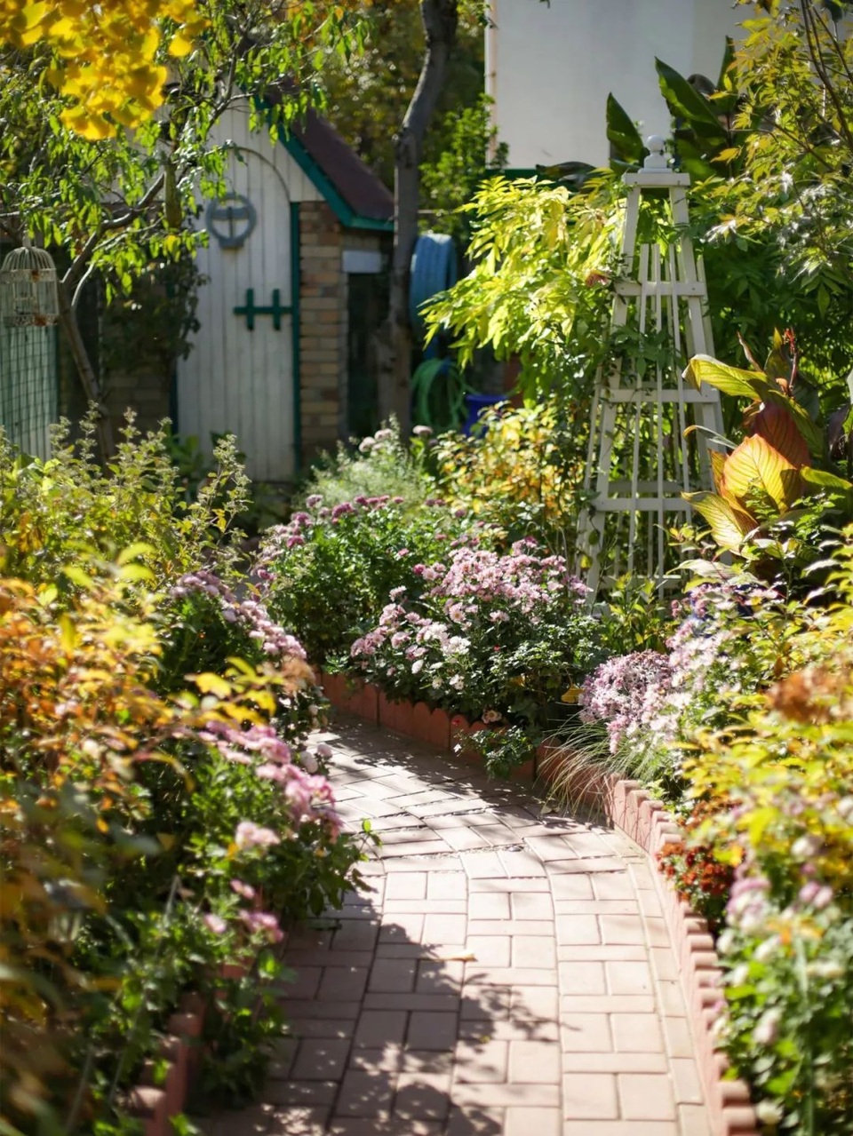 Người chồng tặng vợ nhà vườn 1.000 m2 tuyệt đẹp nhân dịp sinh nhật - 3 Người chồng tặng vợ nhà vườn 1.000 m2 tuyệt đẹp nhân dịp sinh nhật - 3