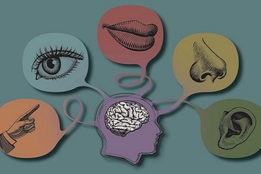 Giao tiếp tiếng Anh hiệu quả 99% với phương pháp đa giác quan