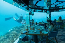 Khách Việt chi 20 triệu đồng ăn trưa ở nhà hàng dưới đáy biển Maldives