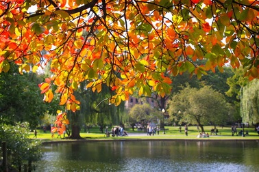 Mùa  thấp điểm, doanh nghiệp “xoay sang” bán tour chơi  thu