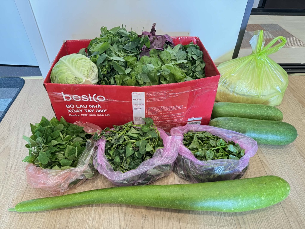 Một tuần hết nửa triệu mua rau, bà nội trợ ở Hà Nội nhờ tiếp tế gấp từ quê - 1