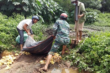Bắt giữ xe ô tô chở 2 nghìn gia cầm Trung Quốc nhập lậu