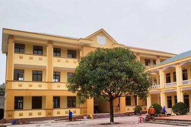 Phó hiệu trưởng xin nghỉ chữa bệnh nhưng lại đi Hàn Quốc tìm việc