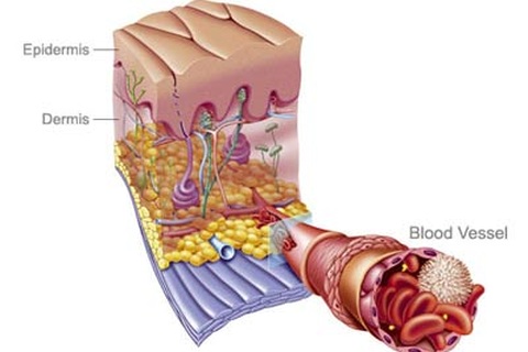 Ích lợi khi bỏ thuốc lá