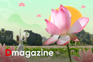 Chất xám Việt đưa cây sen vươn mình, bước vào chuỗi giá trị triệu USD