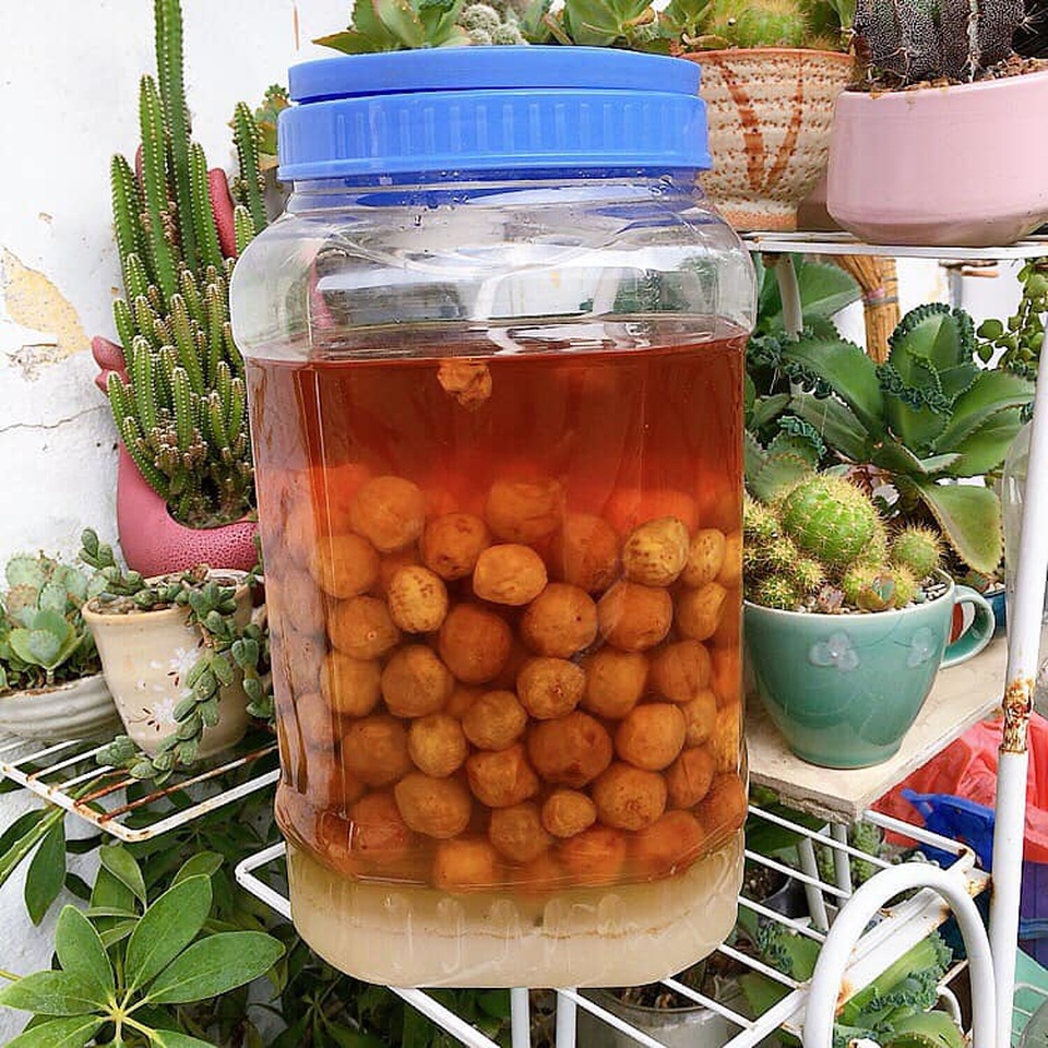 Cách ngâm mơ đường không bị váng, thỏa cơn khát ngày hè - 4 Cách ngâm mơ đường không bị váng, thỏa cơn khát ngày hè - 4