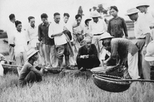 Vận dụng tư tưởng Hồ Chí Minh trong xây dựng phẩm chất liêm, chính cho cán bộ, đảng viên