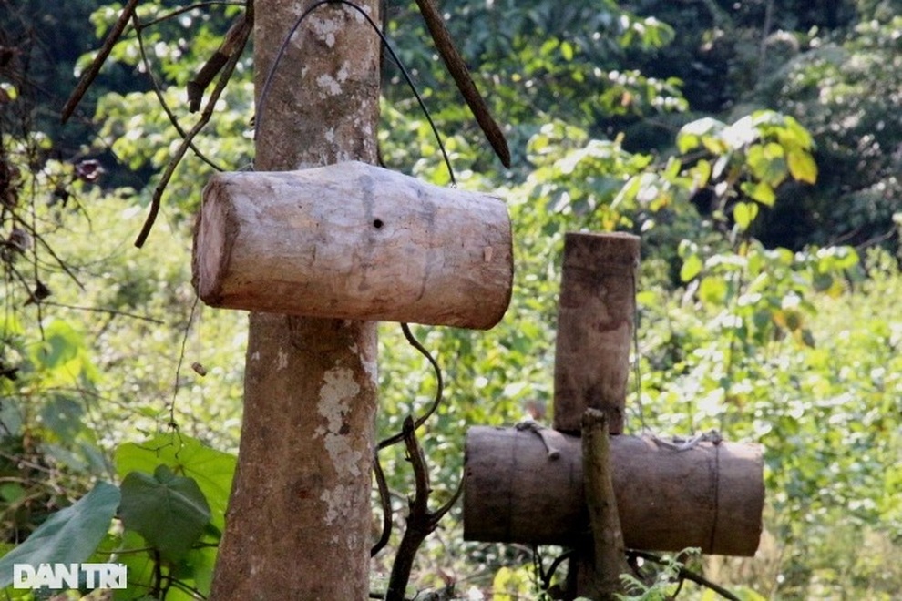 Thợ săn ong sứ nghe tiếng vỗ cánh, chờ tìm chiến binh - 7 Thợ săn ong sứ nghe tiếng vỗ cánh, chờ tìm chiến binh - 7