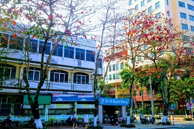 Ngắm Đà thành đẹp mơ màng vào mùa cây thay lá