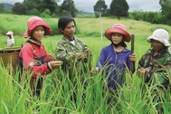 Hơn 75.000 tỷ đồng cho mục tiêu giảm nghèo đến năm 2025