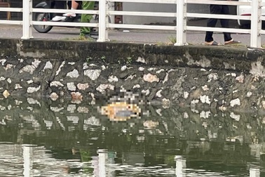 Thi thể người đàn ông mặc áo mưa nổi trên hồ điều hòa ở Hà Nội