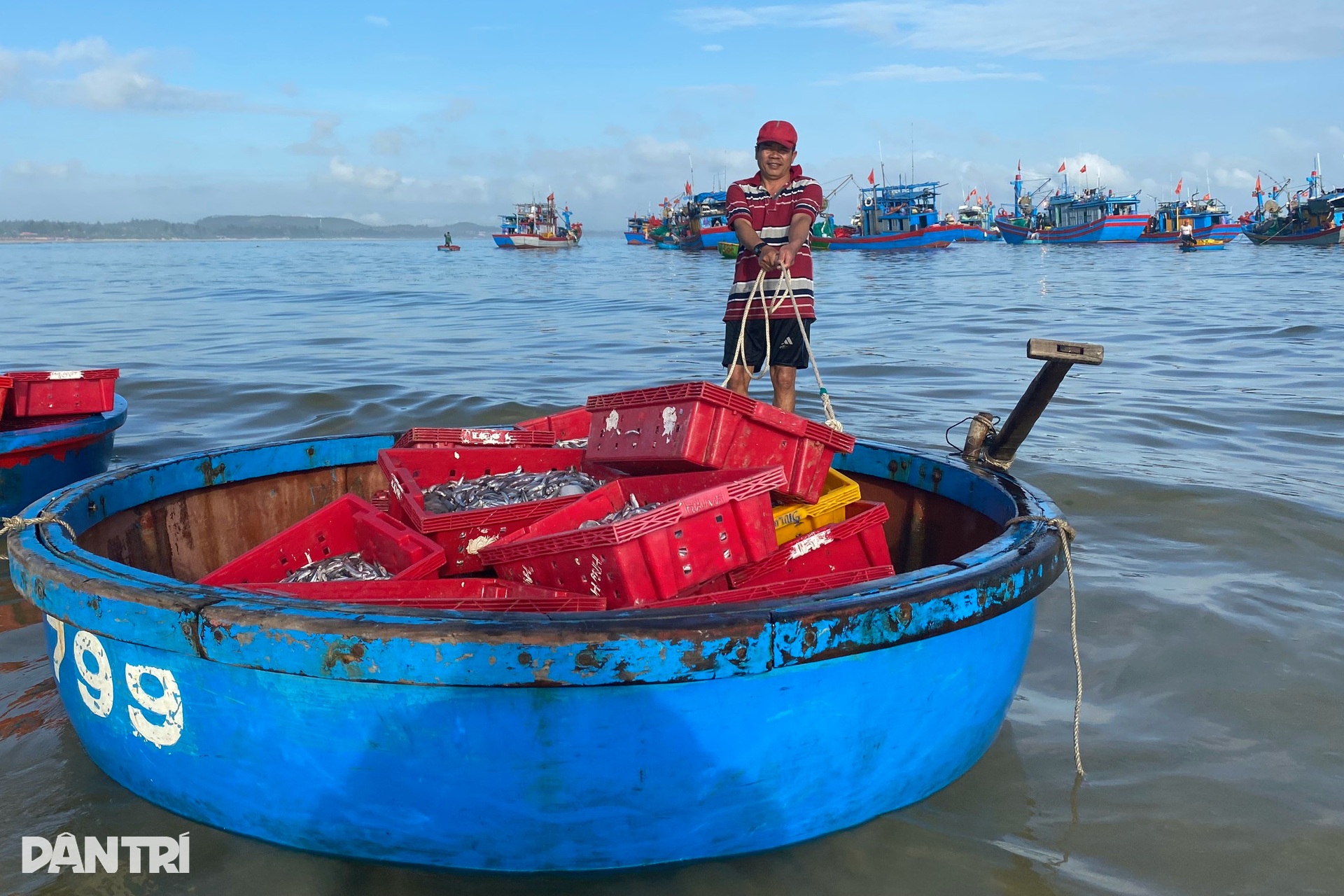 Chợ cá nơi nghĩa địa tàu cổ - 5 Chợ cá nơi nghĩa địa tàu cổ - 5