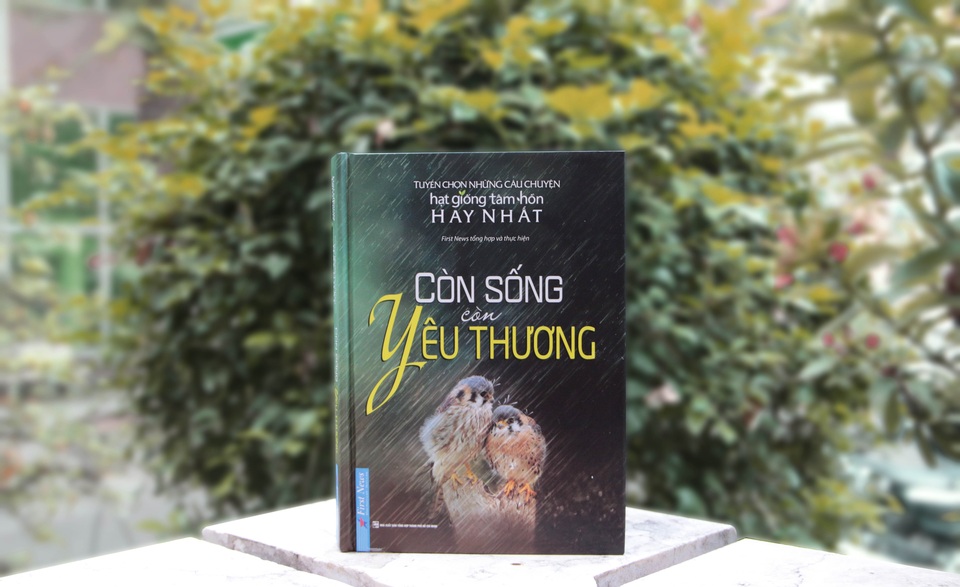 Còn sống còn yêu thương: Tình yêu trở lại (kỳ 3) - 3 Còn sống còn yêu thương: Tình yêu trở lại (kỳ 3) - 3