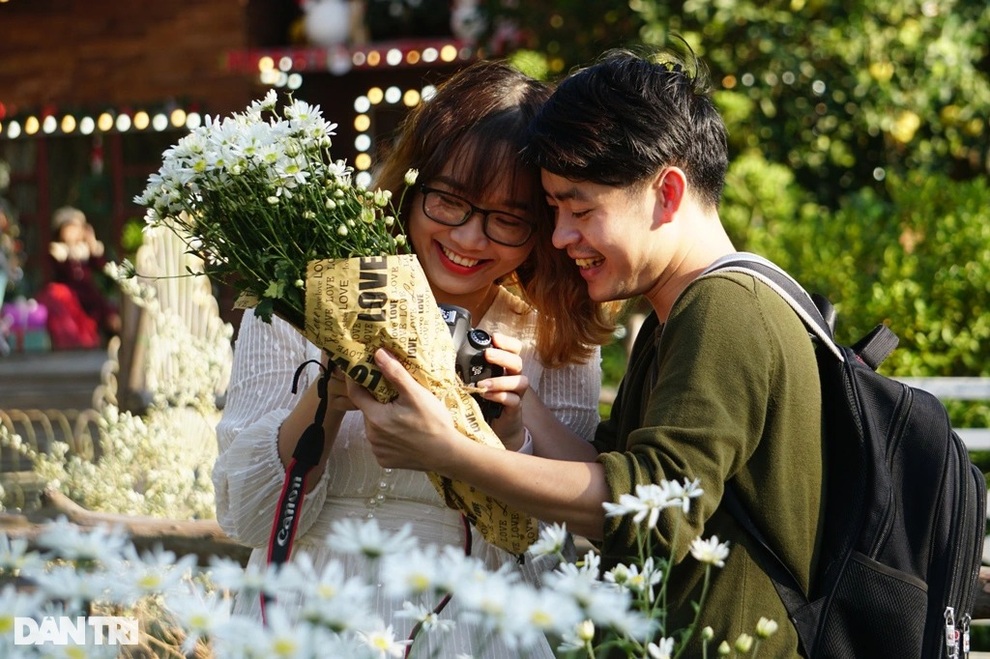 Giới trẻ thỏa sức sống ảo cùng loài hoa báo đông - 10 Giới trẻ thỏa sức sống ảo cùng loài hoa báo đông - 10