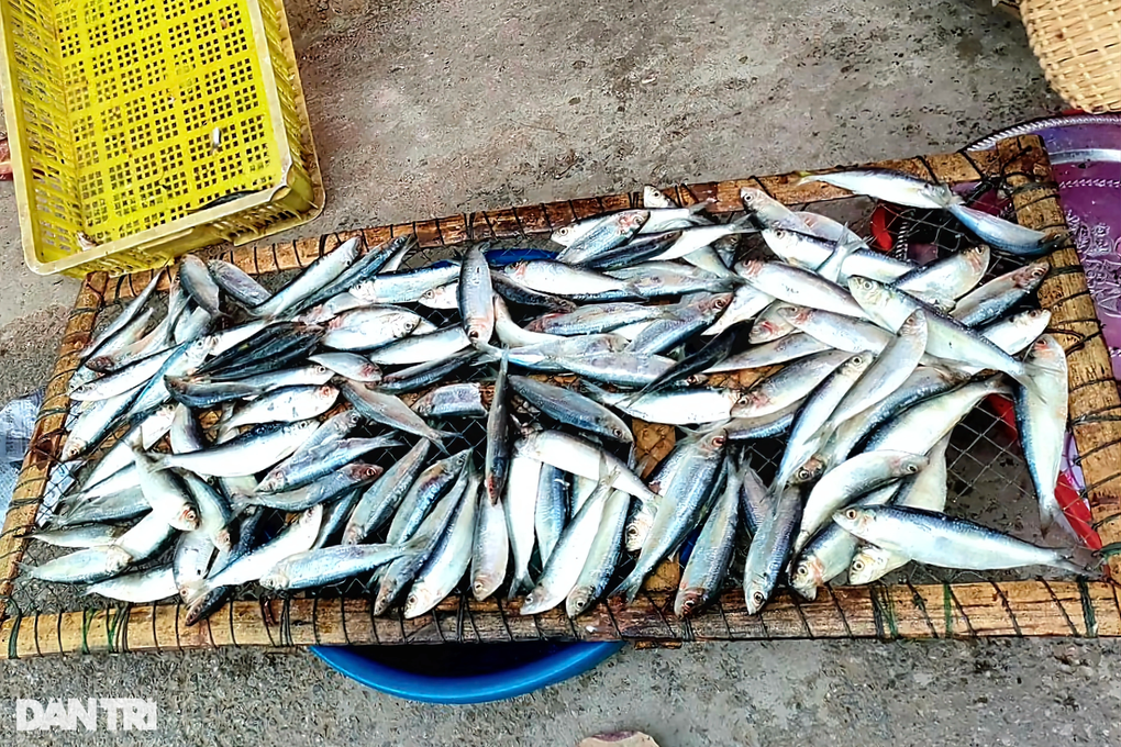 Nghề nướng cá dưới chân ngôi đền linh thiêng ở xứ Nghệ - 2 Nghề nướng cá dưới chân ngôi đền linh thiêng ở xứ Nghệ - 2
