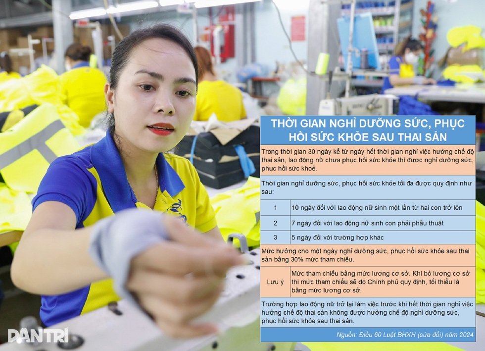 Chế độ thai sản mới: Nghỉ khám thai 10 ngày, tăng quyền lợi cho chồng - 8 Chế độ thai sản mới: Nghỉ khám thai 10 ngày, tăng quyền lợi cho chồng - 8