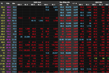 Đổ gần 12.000 tỷ đồng “săn cổ phiếu” giữa lúc thị trường chứng khoán “rơi”