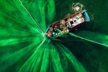 Giữa ngày hè nóng nực, giải nhiệt bằng bộ ảnh màu xanh “mát mắt”