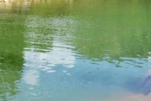 Hai bé trai đuối nước khi tắm sông Cấm