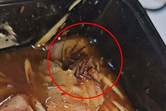 Đặt suất gân bò về nhà, khách ở TPHCM hốt hoảng thấy gián trong đồ ăn
