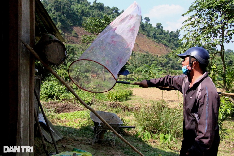 Thợ săn ong sứ nghe tiếng vỗ cánh, chờ tìm chiến binh - 10 Thợ săn ong sứ nghe tiếng vỗ cánh, chờ tìm chiến binh - 10