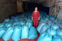 Gần 600 tấn hải sản tồn kho, "mắc kẹt" suốt 5 năm