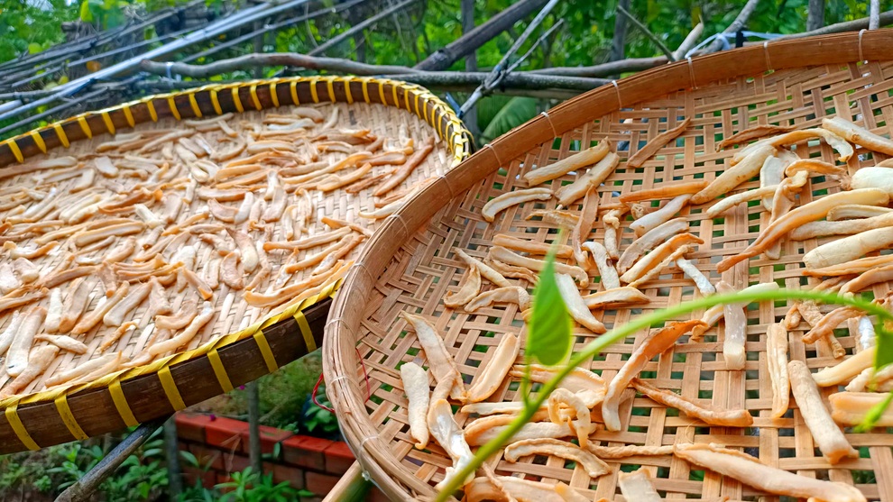 Tự trồng, thu hoạch và làm món củ cải trắng ngâm tương - 5 Tự trồng, thu hoạch và làm món củ cải trắng ngâm tương - 5