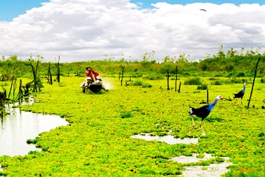 Kinh nghiệm khám phá vùng đất Kiên Giang