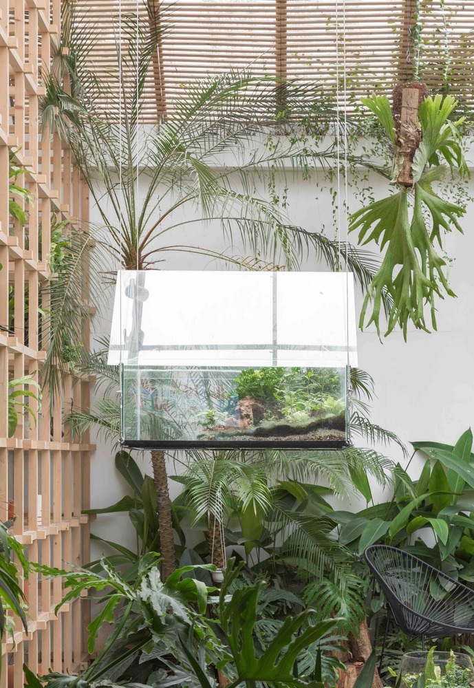 Quán cà phê như khu rừng nhiệt đới giữa lòng Hà Nội - 5 Quán cà phê như khu rừng nhiệt đới giữa lòng Hà Nội - 5