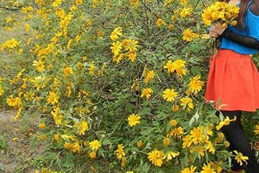 Trên đời không còn tình yêu chung thủy?