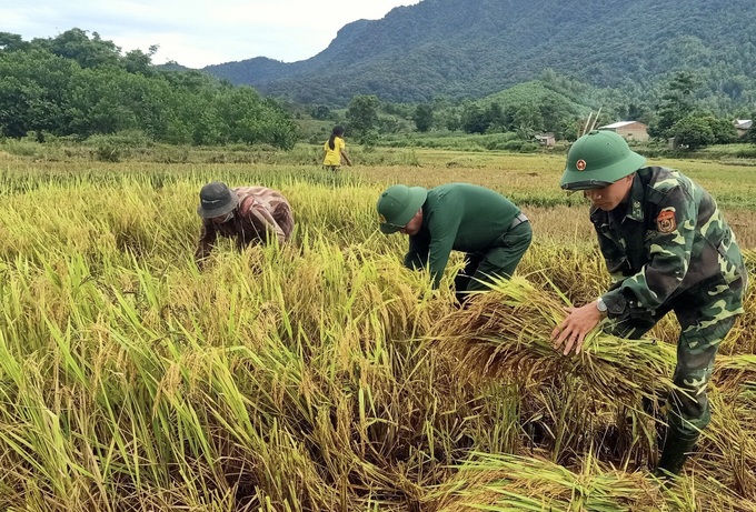 Lính quân hàm xanh Thừa Thiên Huế giúp dân khắc phục hậu quả bão số 5 - Ảnh 2. Lính quân hàm xanh Thừa Thiên Huế giúp dân khắc phục hậu quả bão số 5 - Ảnh 2.