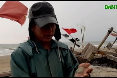 Xông biển đầu năm, mỗi ngày thu nhập cả triệu đồng
