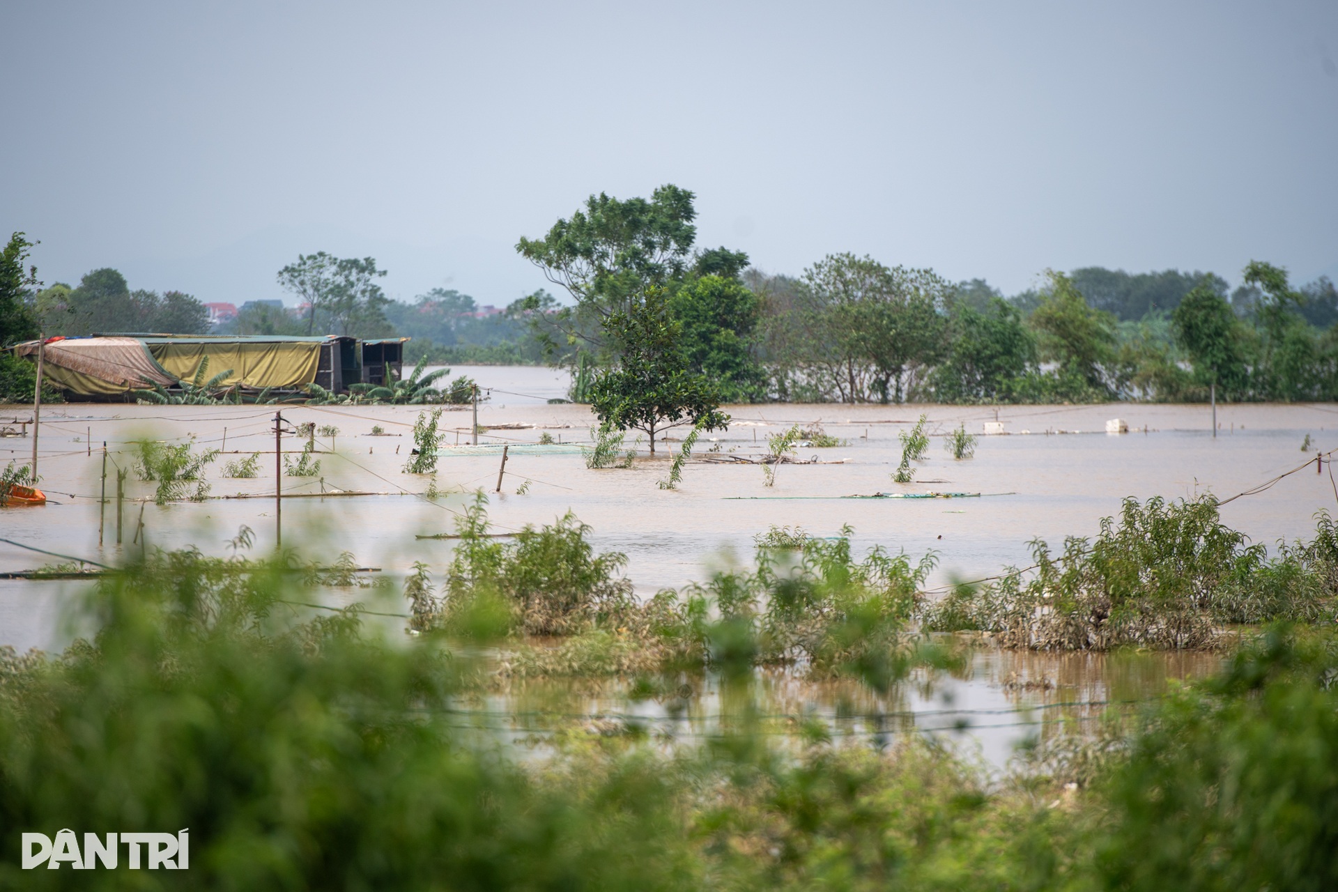 Mực nước sông Hồng giảm dần, người dân tranh thủ dọn dẹp sau lũ - 14 Mực nước sông Hồng giảm dần, người dân tranh thủ dọn dẹp sau lũ - 14