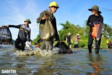 Hàng trăm người hò reo đánh bắt cá tại lễ hội hơn 300 năm tuổi
