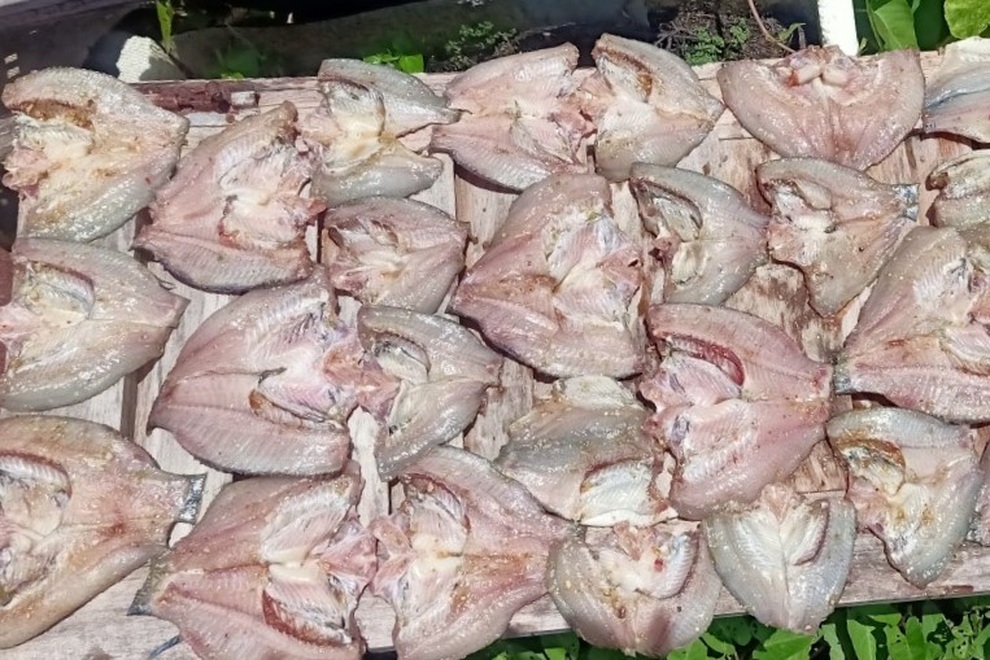 Bơi xuồng giăng lưới cá, xẻ từng con phơi khô gửi đồng hương ở vùng dịch - 5 Bơi xuồng giăng lưới cá, xẻ từng con phơi khô gửi đồng hương ở vùng dịch - 5