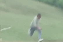 Thế giới động vật: Người đi dã ngoại bất ngờ bị báo hoa mai lao ra tấn công