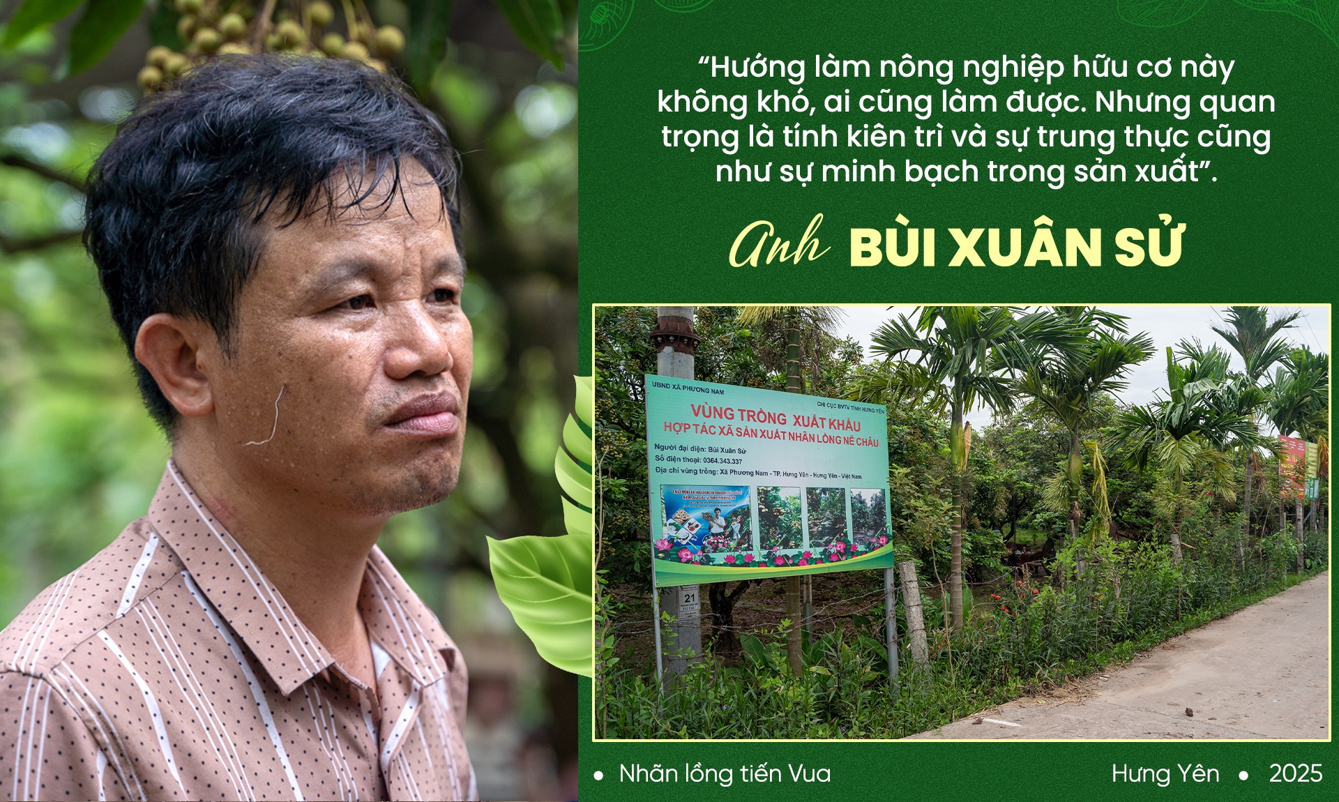 Trái ngọt của anh nông dân “khùng” bắt nhãn ăn cá, uống dịch chuối - 15 Trái ngọt của anh nông dân “khùng” bắt nhãn ăn cá, uống dịch chuối - 15