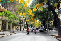 Bảng giá "đất vàng" TPHCM chỉ 162 triệu, thực tế 1 tỷ đồng/m2