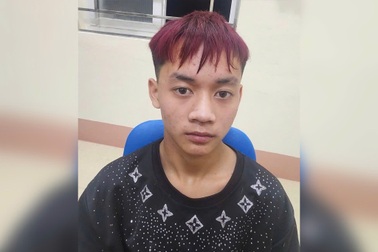 Bắt giữ thiếu niên 15 tuổi hiếp dâm trẻ em
