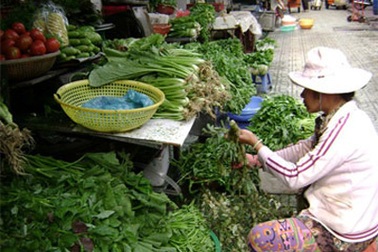“Tuần nào cũng ăn rau không an toàn là đáng ngại”