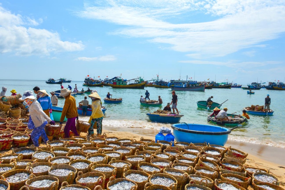 Đánh thức tiềm năng đô thị biển La Gi - 1 Đánh thức tiềm năng đô thị biển La Gi - 1