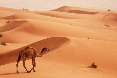 8 địa điểm chụp ảnh “câu like” đẹp nhất Dubai