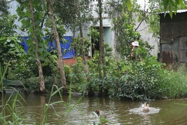 Ổ tiêu chảy cấp: Thêm một bệnh nhi tử vong