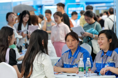 Rải đơn tới 800 công ty mới được một nơi nhận vào làm