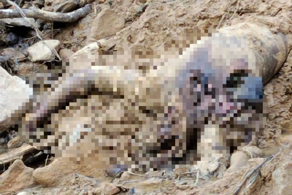 Vụ quả đồi đổ ập giữa trời nắng ở Đà Nẵng: Tìm thấy một thi thể nam giới - 1 Vụ quả đồi đổ ập giữa trời nắng ở Đà Nẵng: Tìm thấy một thi thể nam giới - 1