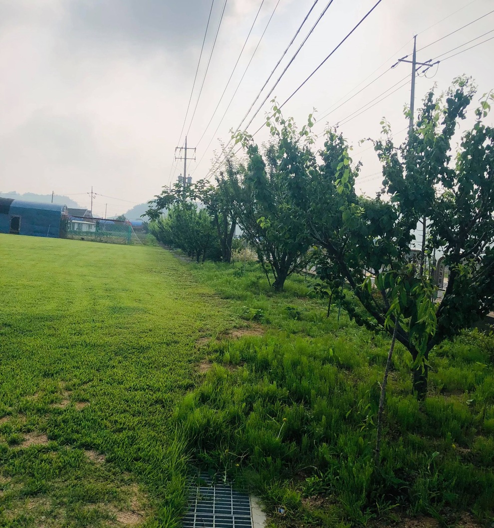 Nhà vườn 2.000m2 giữa cảnh sơn thủy hữu tình của nàng dâu Việt ở Hàn Quốc - 7