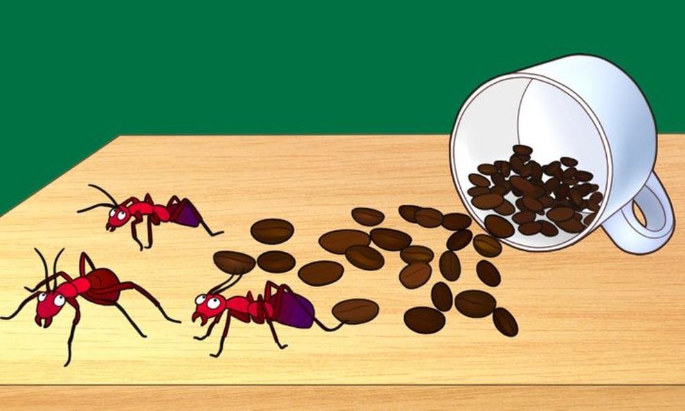 Những công dụng nhỏ mà có võ giúp tân trang nhà cửa hiệu quả của cà phê - 1 Những công dụng nhỏ mà có võ giúp tân trang nhà cửa hiệu quả của cà phê - 1
