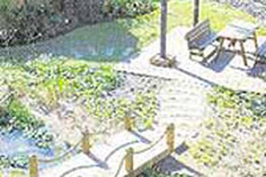 Mốt vườn trên nóc nhà ở Hàn Quốc 