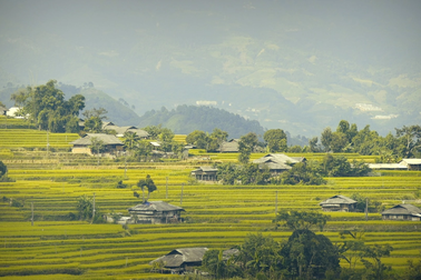 Mùa lúa chín Hoàng Su Phì - đã đi là không muốn về!